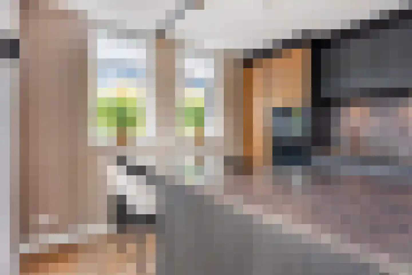 Limbahout 42 Zoetermeer thumbnail 15
