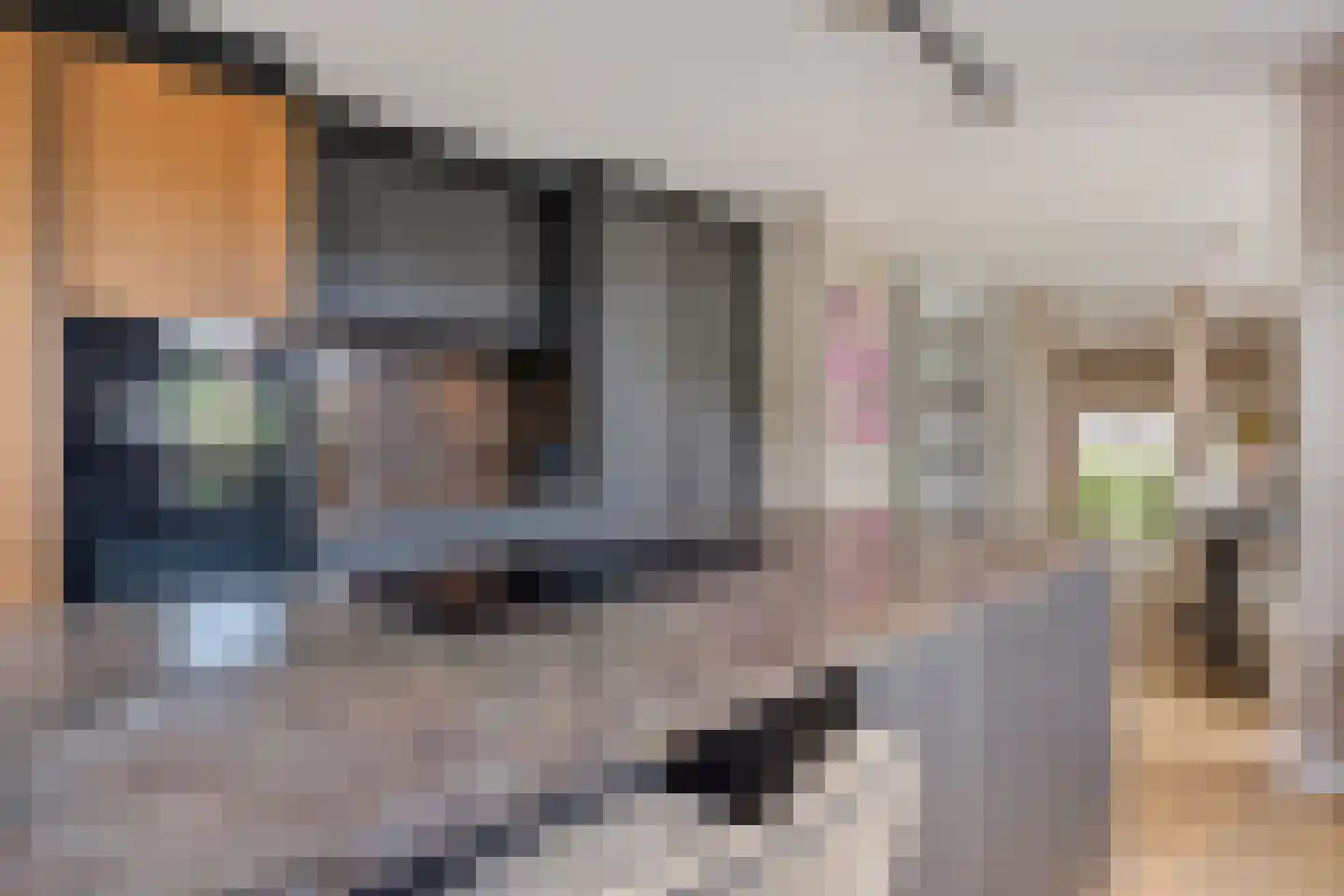 Limbahout 42 Zoetermeer thumbnail 16