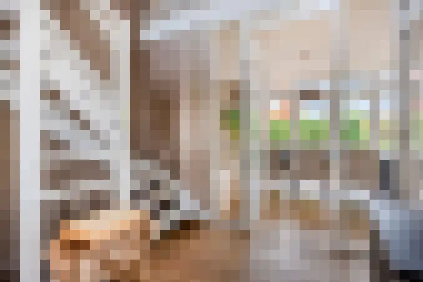 Limbahout 42 Zoetermeer thumbnail 28