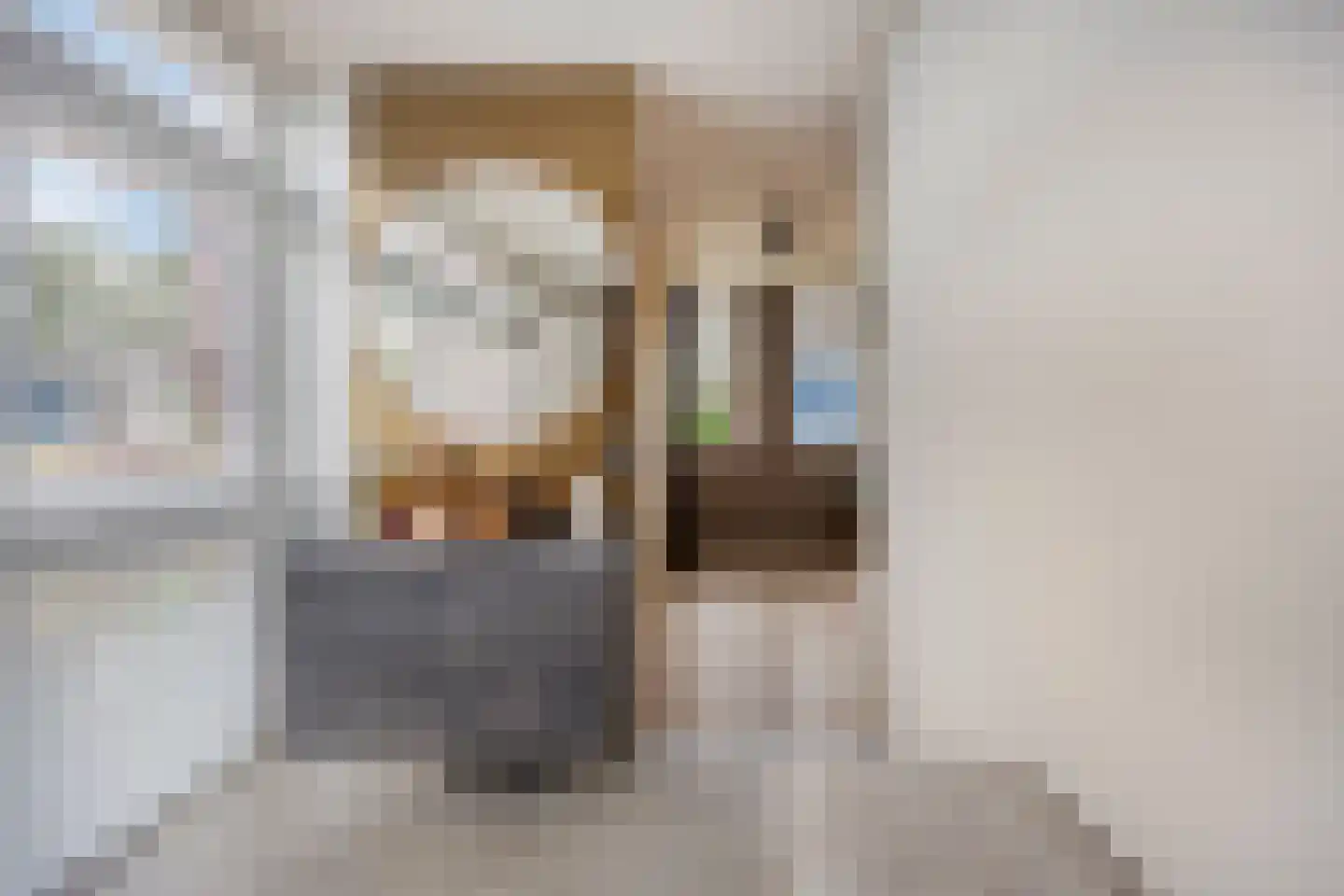 Limbahout 42 Zoetermeer thumbnail 39