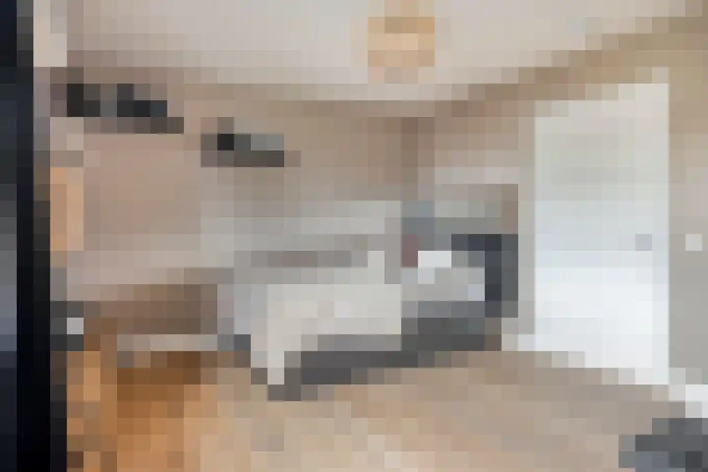 Limbahout 42 Zoetermeer thumbnail 43