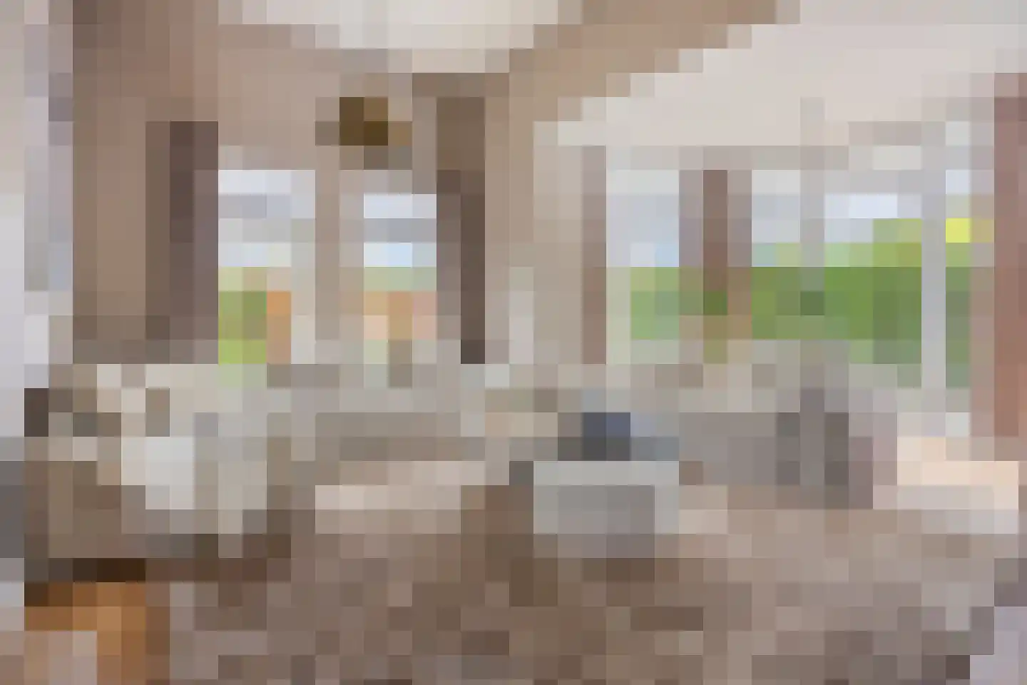 Limbahout 42 Zoetermeer thumbnail 5