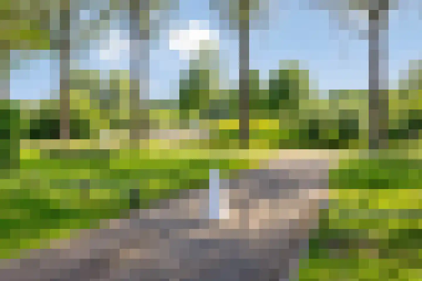 Limbahout 42 Zoetermeer thumbnail 61