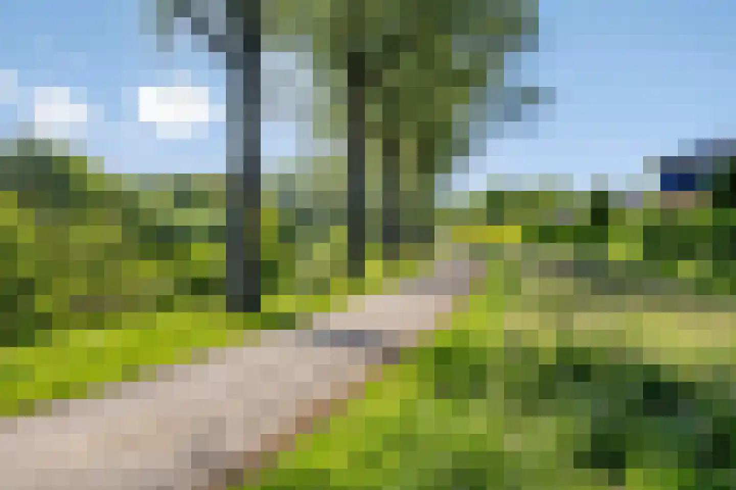 Limbahout 42 Zoetermeer thumbnail 62