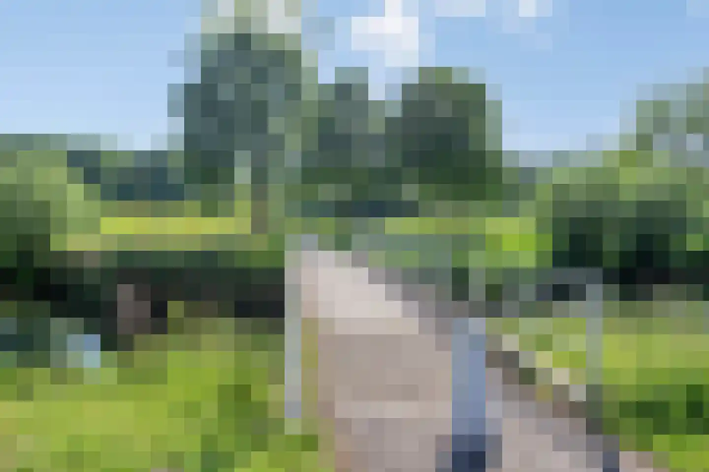 Limbahout 42 Zoetermeer thumbnail 64
