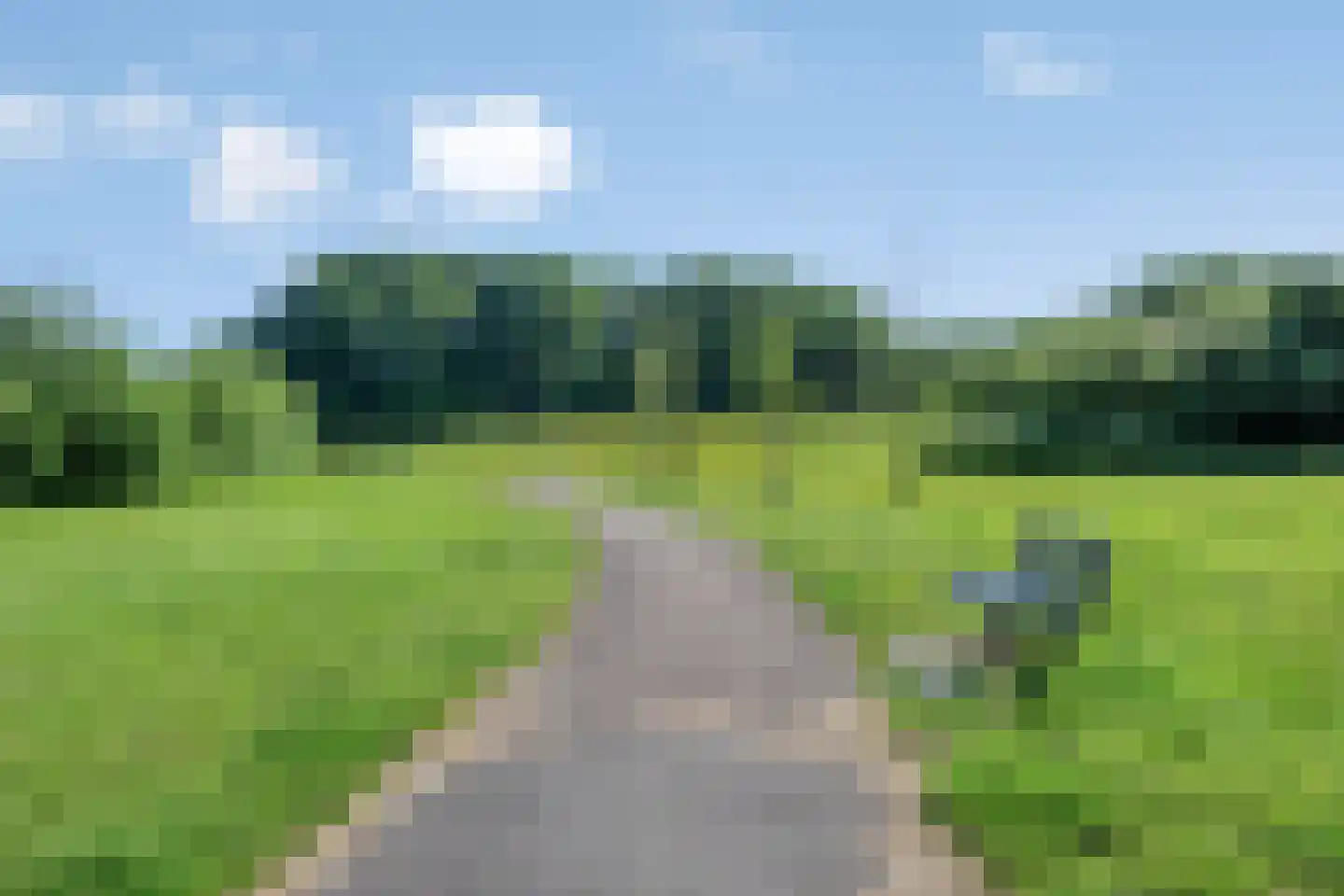 Limbahout 42 Zoetermeer thumbnail 65