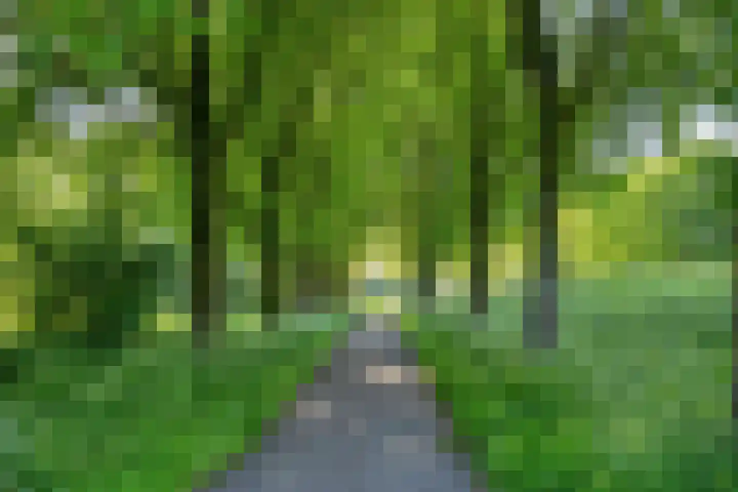 Limbahout 42 Zoetermeer thumbnail 66
