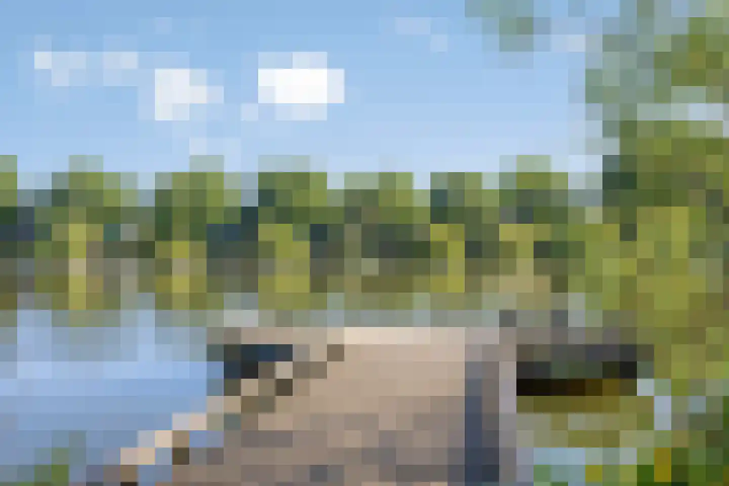 Limbahout 42 Zoetermeer thumbnail 67