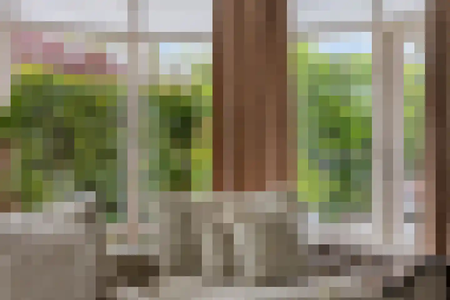 Limbahout 42 Zoetermeer thumbnail 7