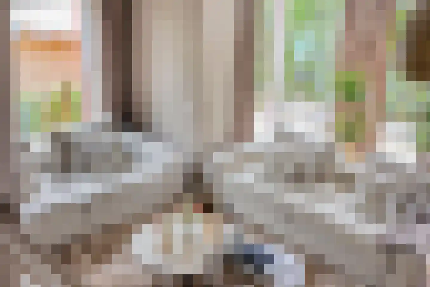 Limbahout 42 Zoetermeer thumbnail 8