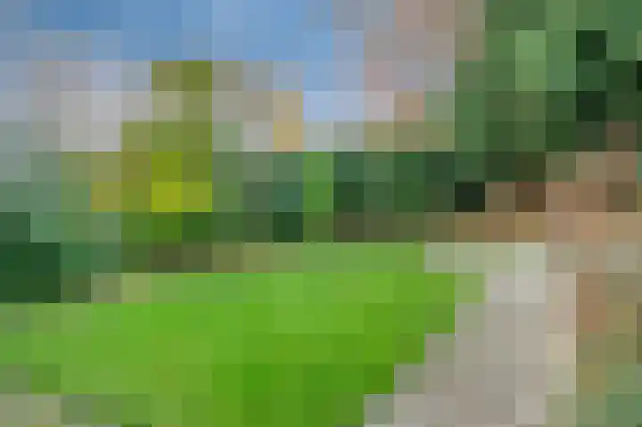 Limborghstraat 10 Limbricht thumbnail 24