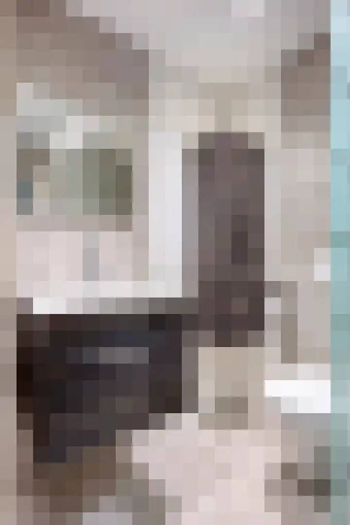 Limborghstraat 10 Limbricht thumbnail 30