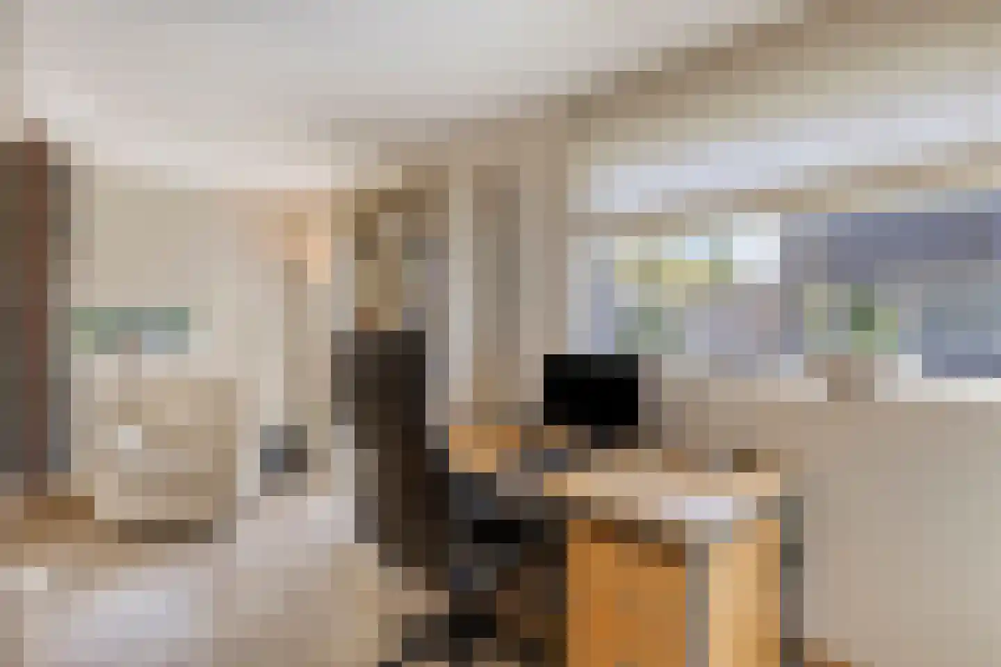 Limbostraat 33 Purmerend thumbnail 11