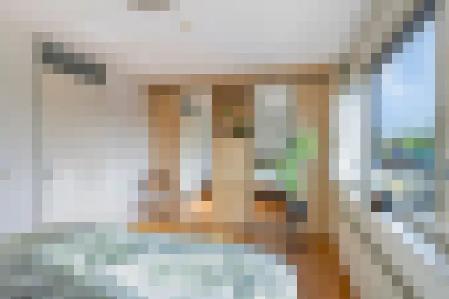 Limbostraat 33 Purmerend thumbnail 24