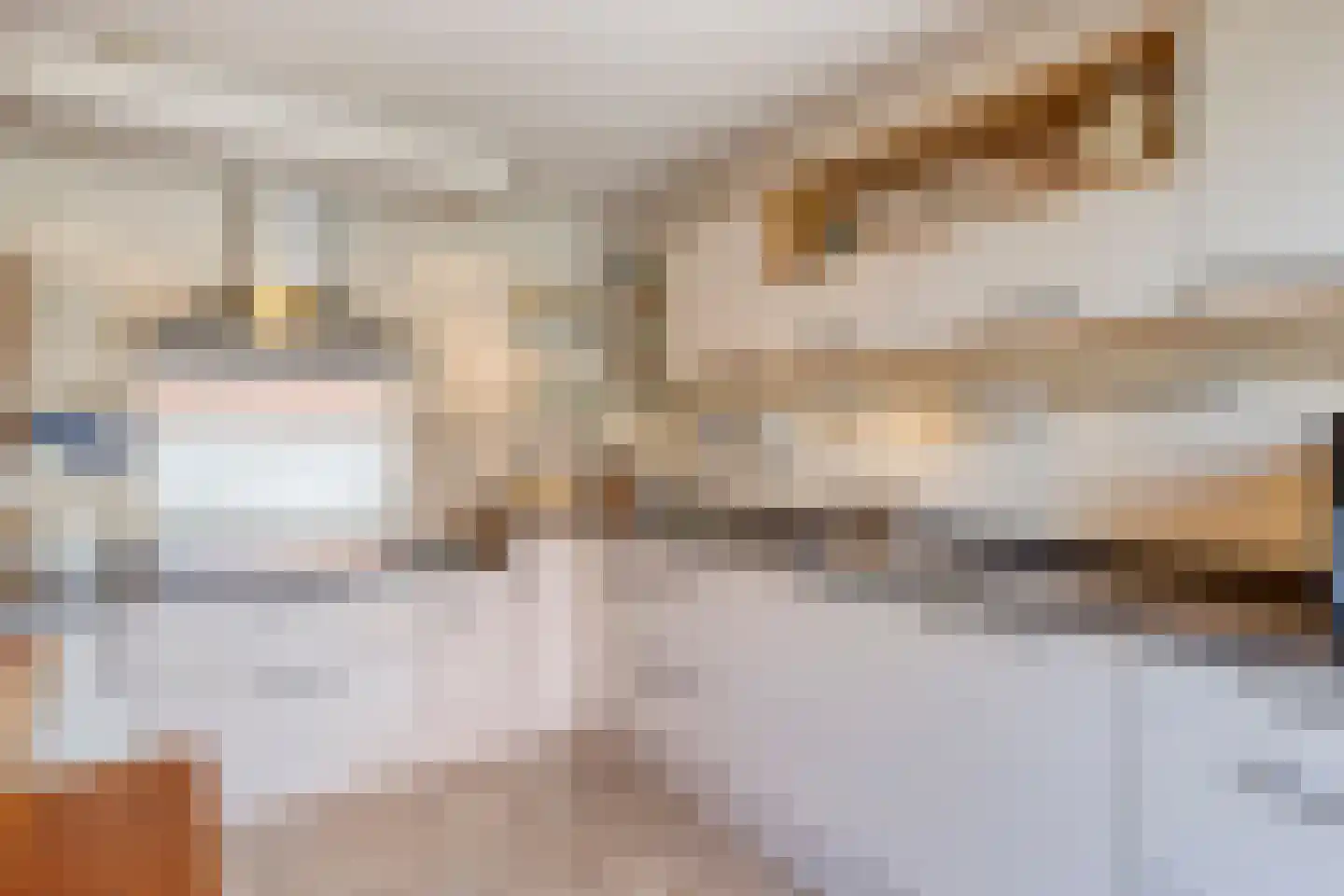 Limbostraat 33 Purmerend thumbnail 4