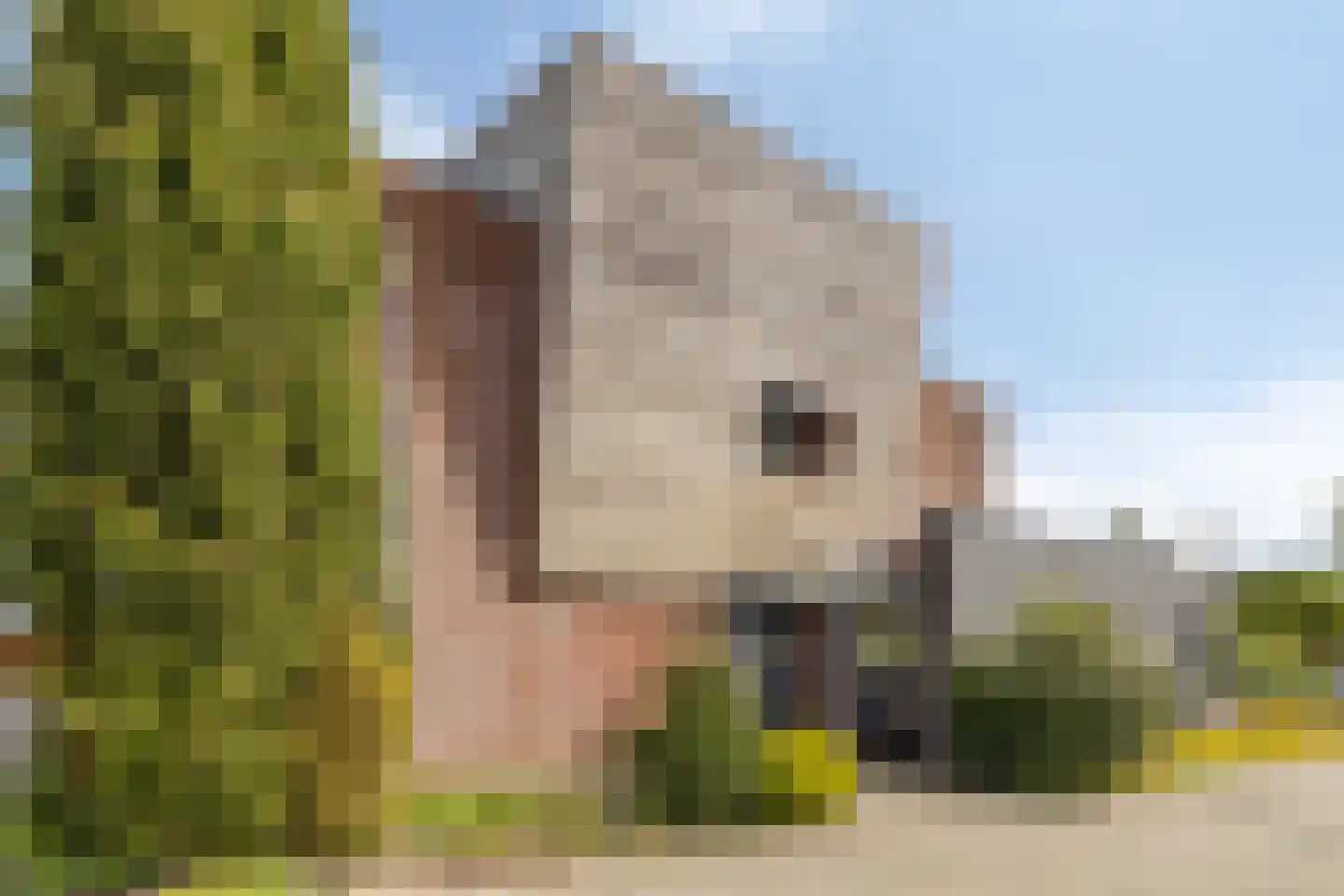 Limbostraat 33 Purmerend thumbnail 8