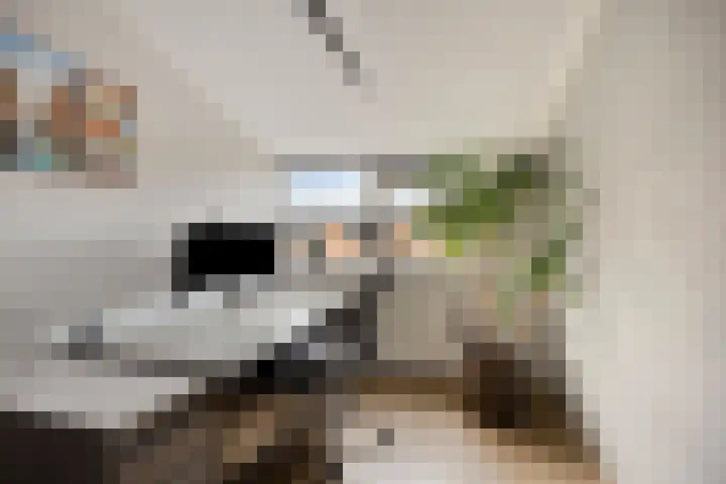 Limbostraat 38 Purmerend thumbnail 14