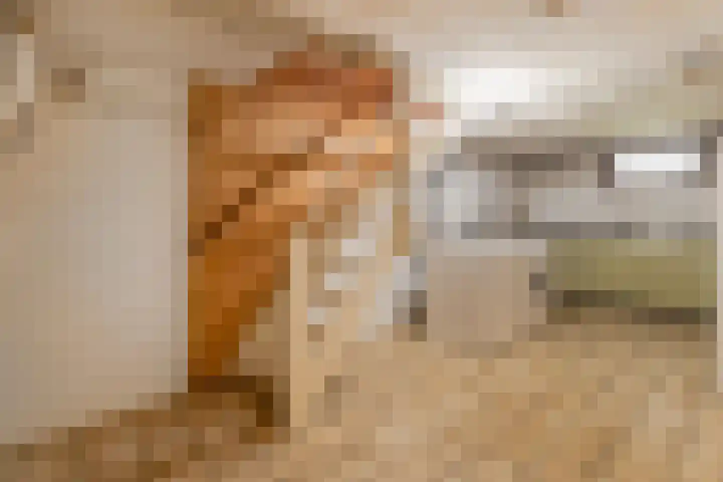 Limbrichterstraat 17 Nieuwstadt thumbnail 24
