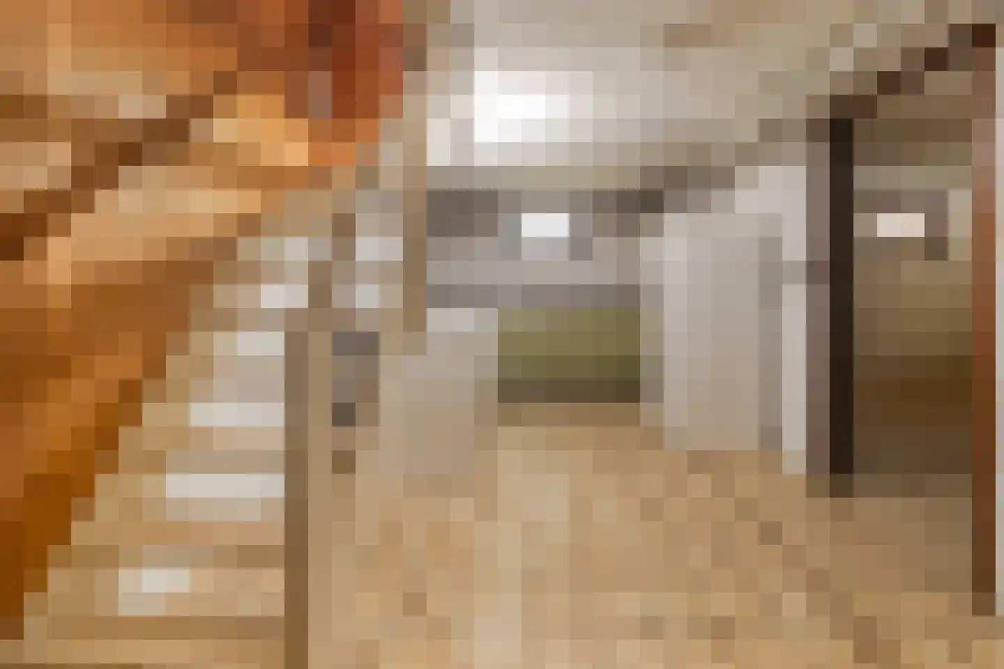 Limbrichterstraat 17 Nieuwstadt thumbnail 25