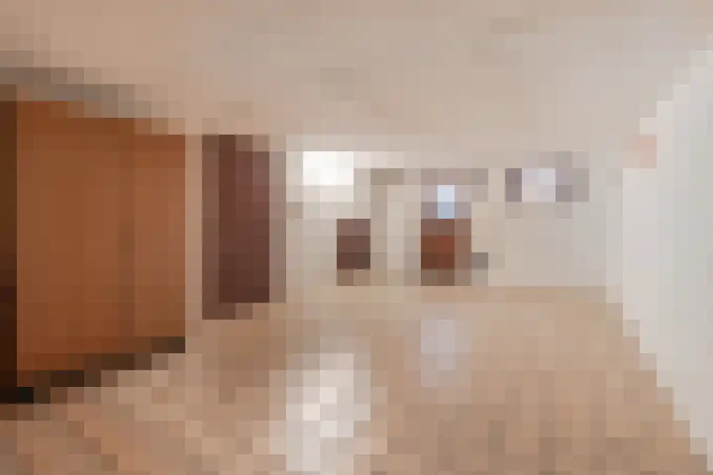 Limbrichterstraat 17 Nieuwstadt thumbnail 27