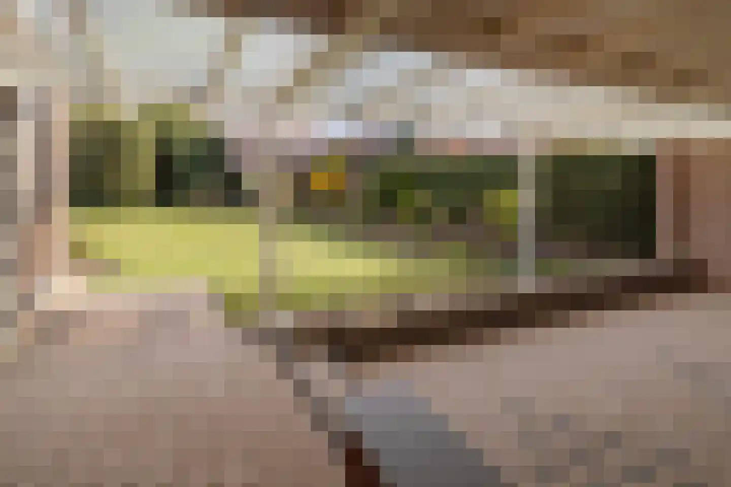 Limbrichterstraat 17 Nieuwstadt thumbnail 31