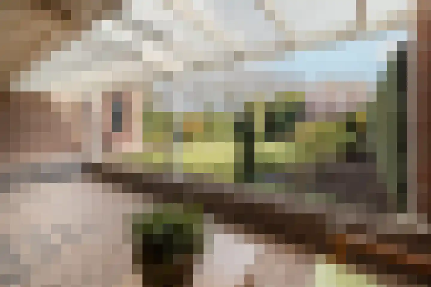 Limbrichterstraat 17 Nieuwstadt thumbnail 33