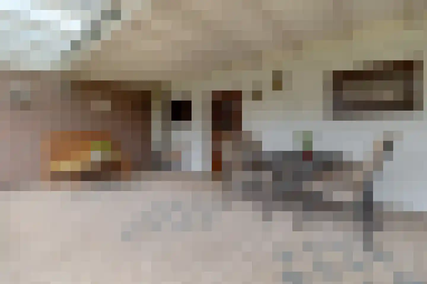 Limbrichterstraat 17 Nieuwstadt thumbnail 35