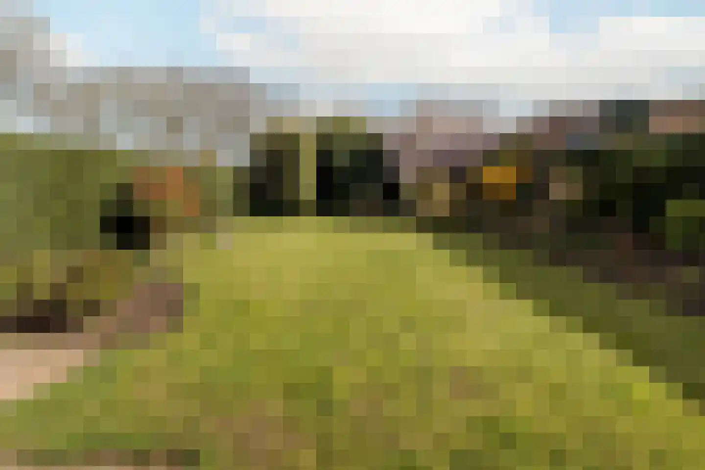 Limbrichterstraat 17 Nieuwstadt thumbnail 37