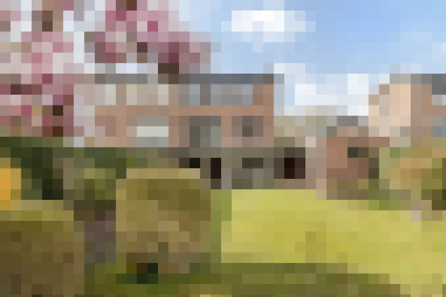 Limbrichterstraat 17 Nieuwstadt thumbnail 38