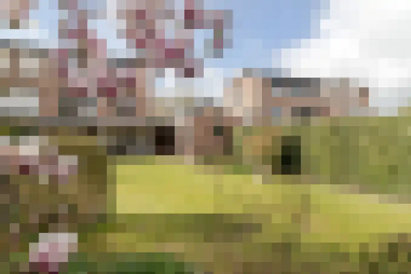 Limbrichterstraat 17 Nieuwstadt thumbnail 39