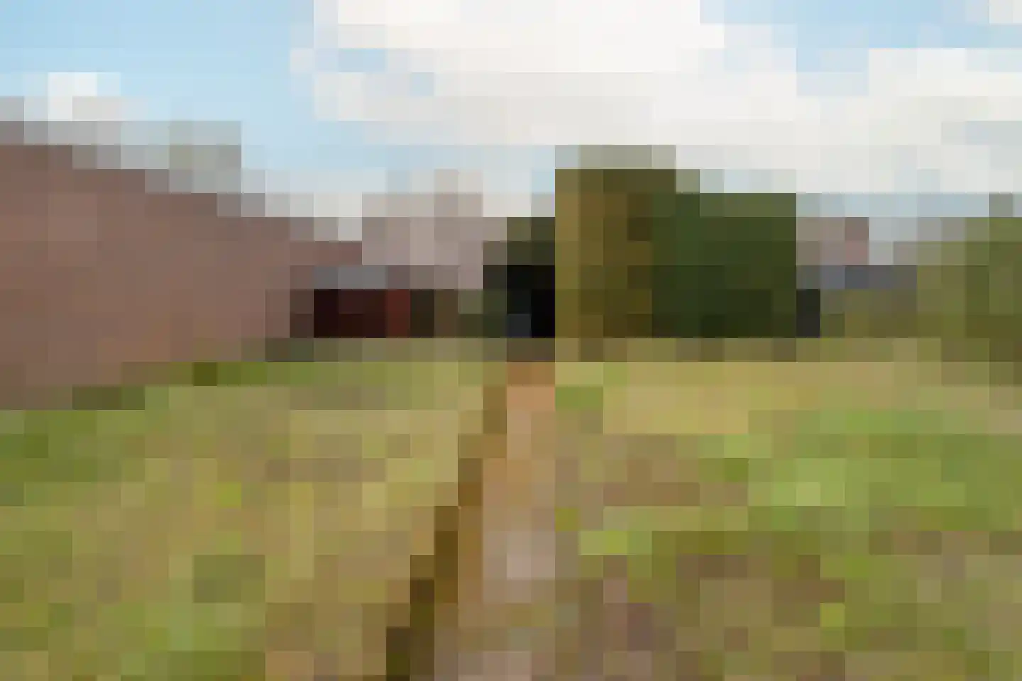 Limbrichterstraat 17 Nieuwstadt thumbnail 41