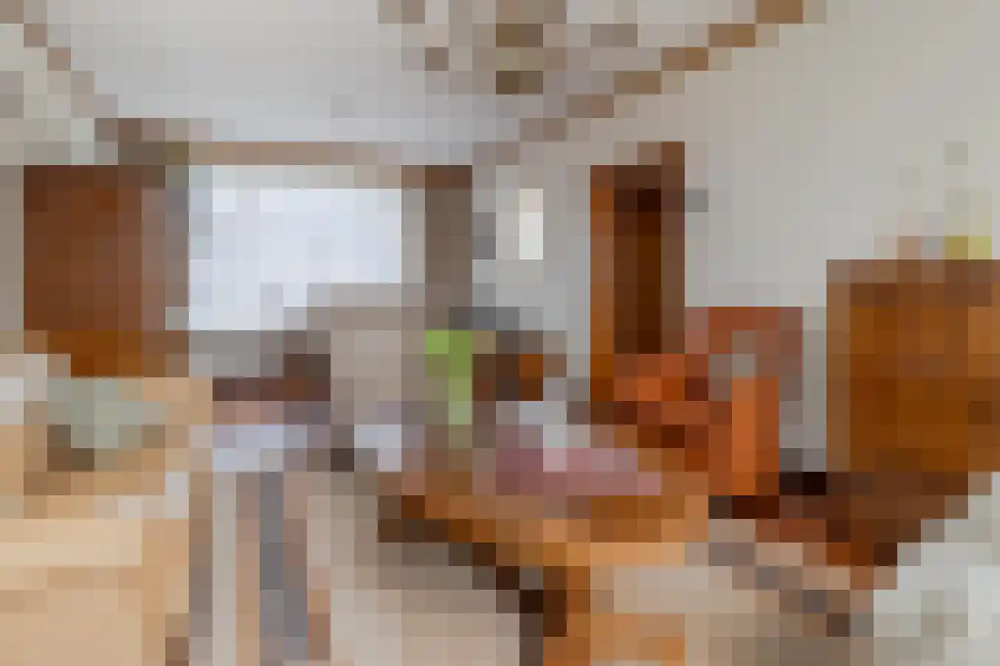Limbrichterstraat 17 Nieuwstadt thumbnail 9
