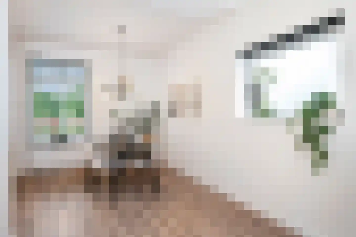 Limbrichterstraat 7 B Nieuwstadt thumbnail 10