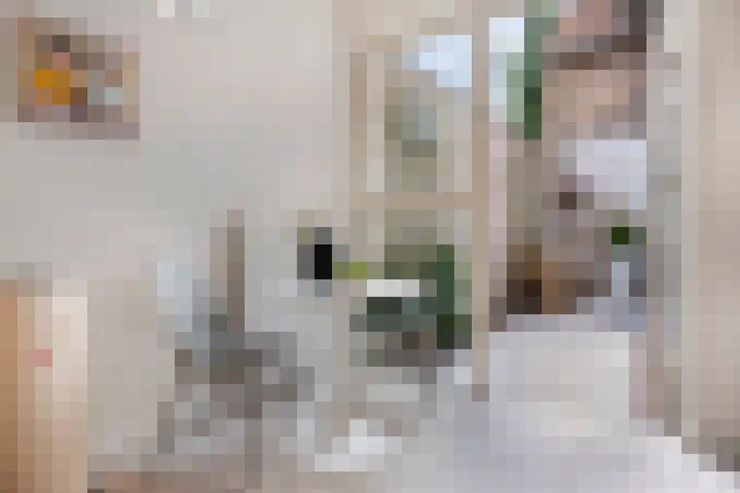 Limbrichterstraat 7 B Nieuwstadt thumbnail 13