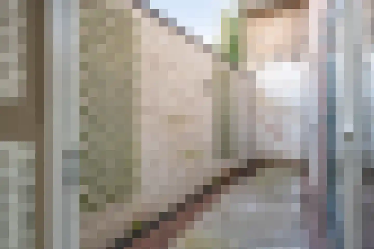 Limbrichterstraat 7 B Nieuwstadt thumbnail 15