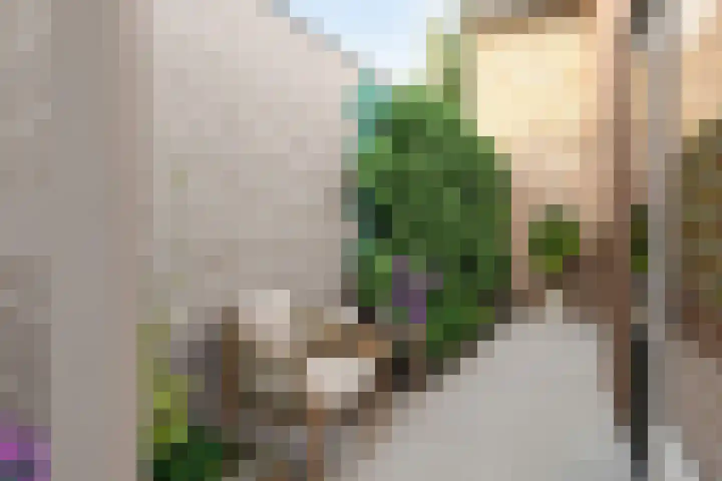 Limbrichterstraat 7 B Nieuwstadt thumbnail 15