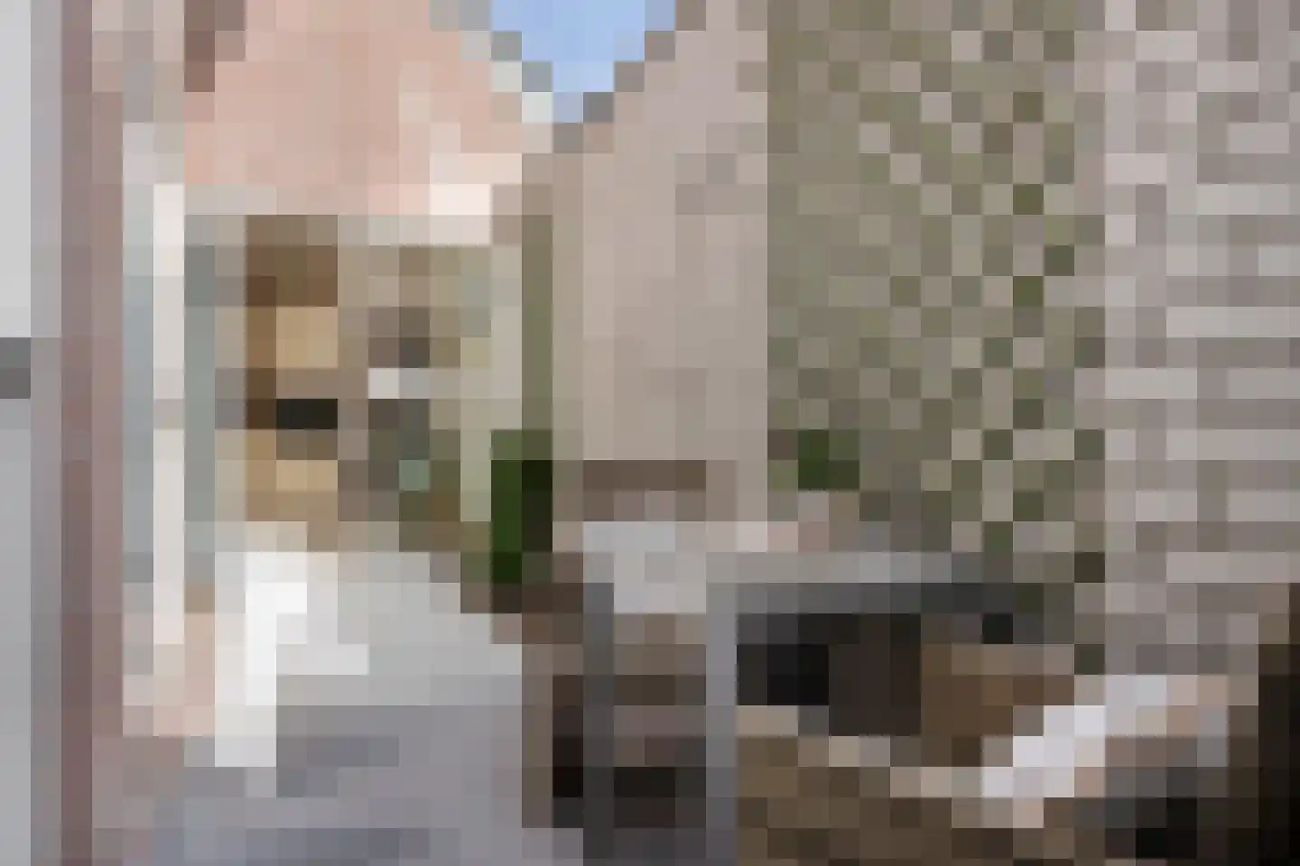 Limbrichterstraat 7 B Nieuwstadt thumbnail 17