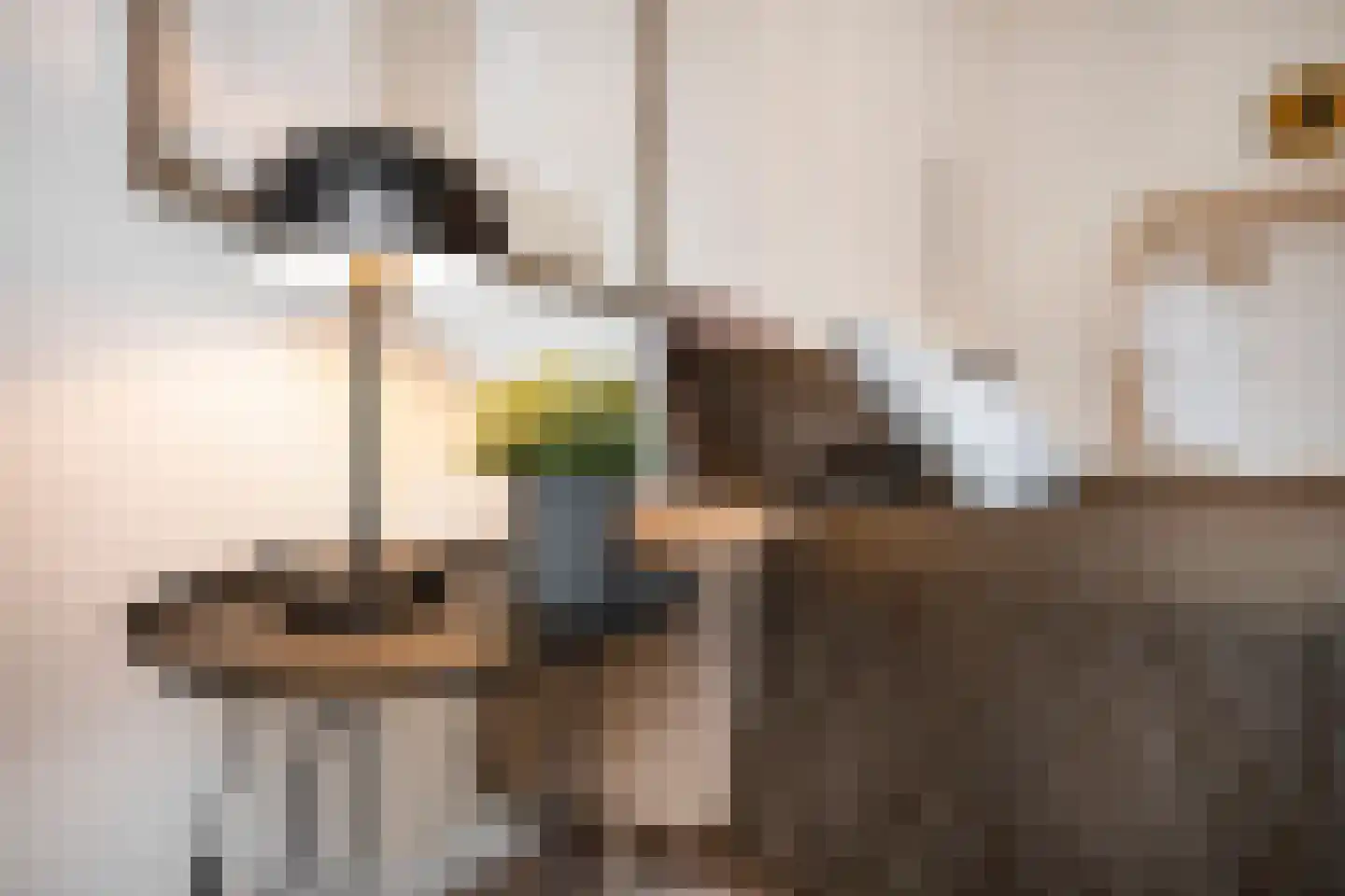 Limbrichterstraat 7 B Nieuwstadt thumbnail 20