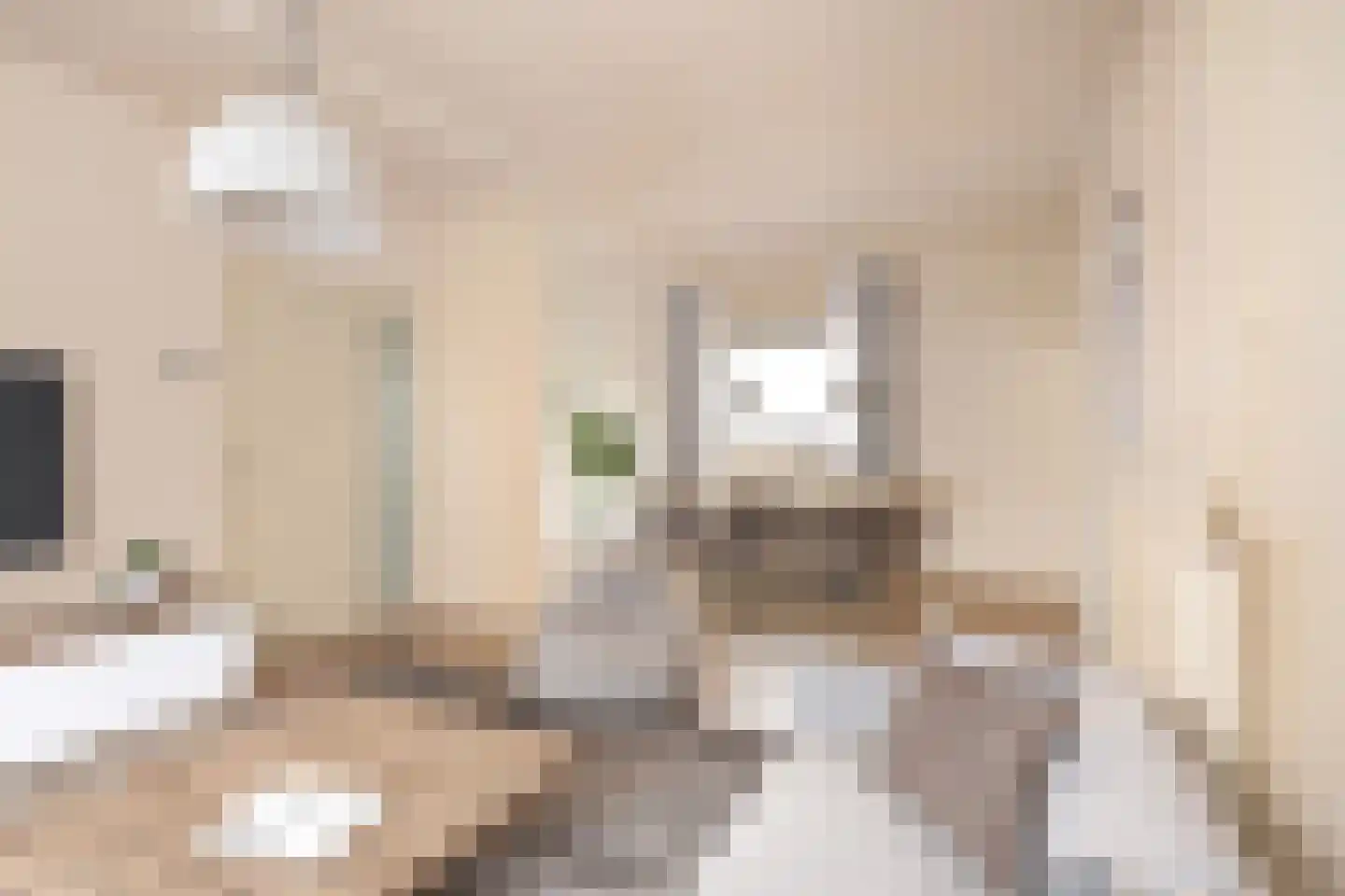 Limbrichterstraat 7 B Nieuwstadt thumbnail 8