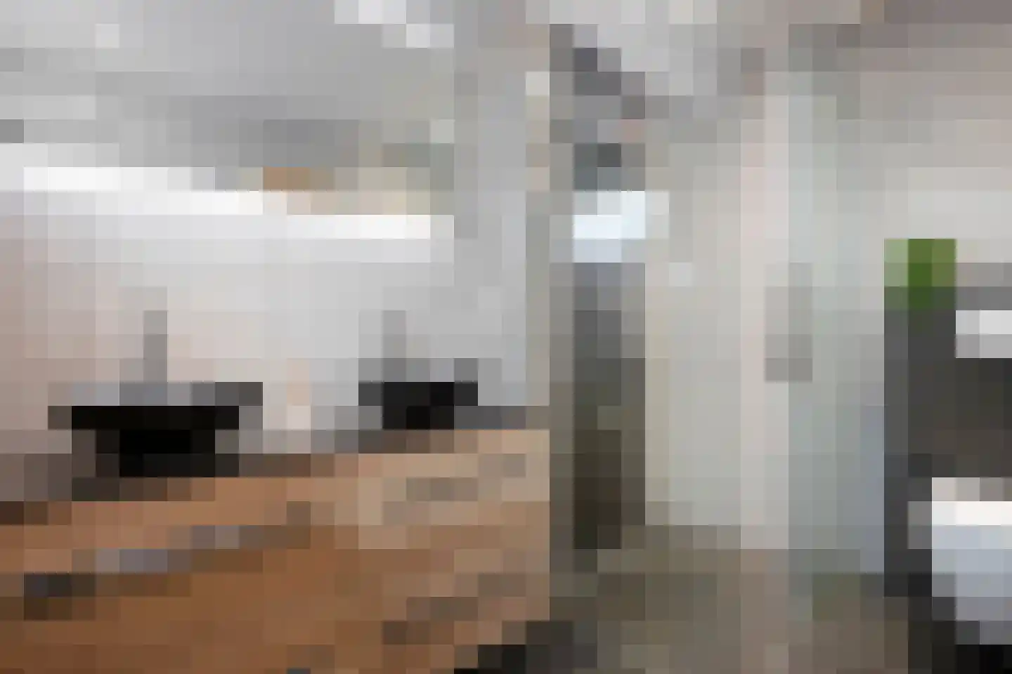 Limbrichterweg 29 Sittard thumbnail 30