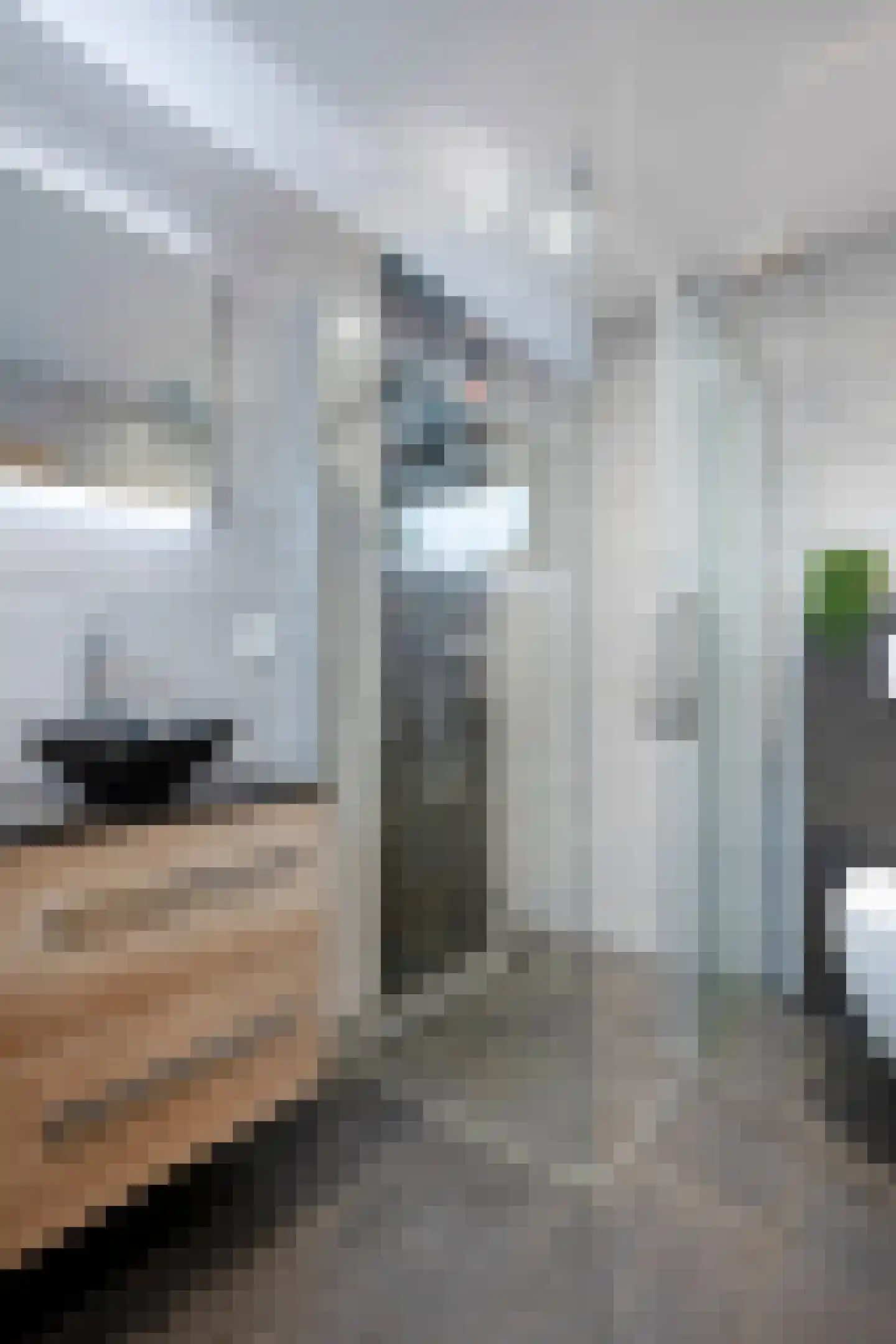 Limbrichterweg 29 Sittard thumbnail 31