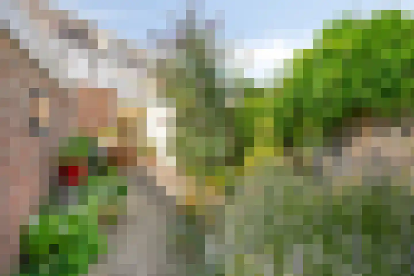 Limbrichterweg 29 Sittard thumbnail 4