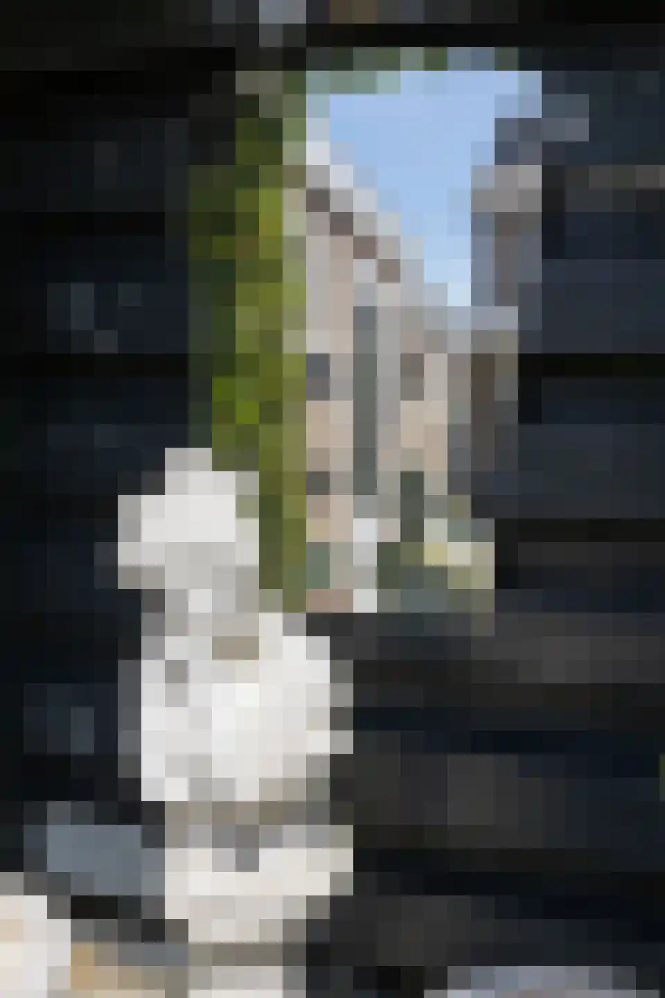 Limburgerstraat 23 Cadier en Keer thumbnail 53