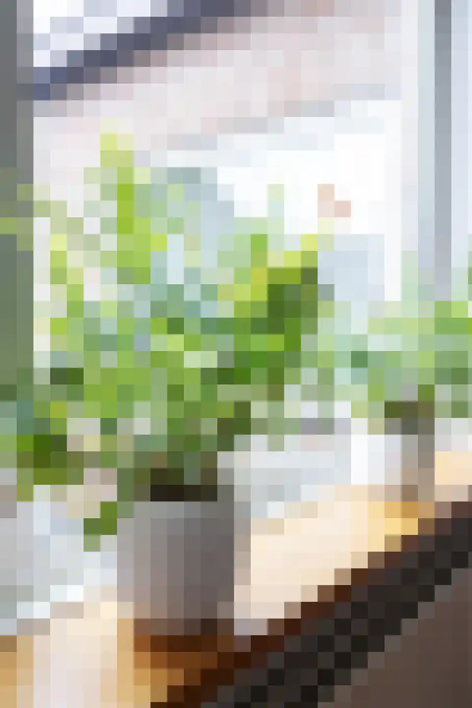 Limburgerstraat 35 Cadier en Keer thumbnail 18