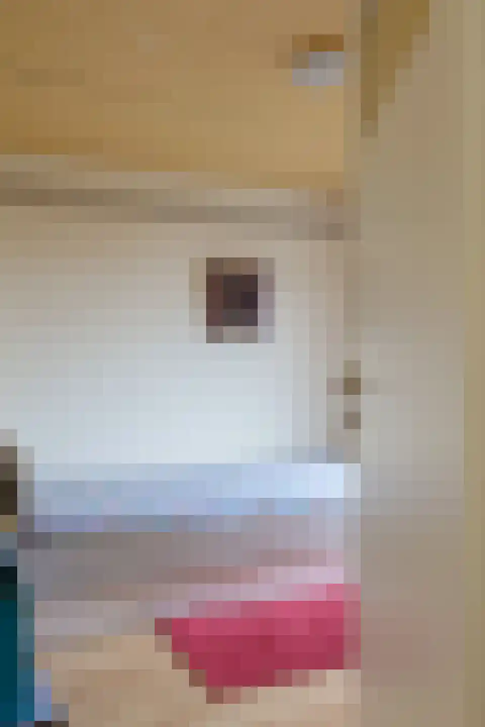 Limburgerstraat 35 Cadier en Keer thumbnail 27