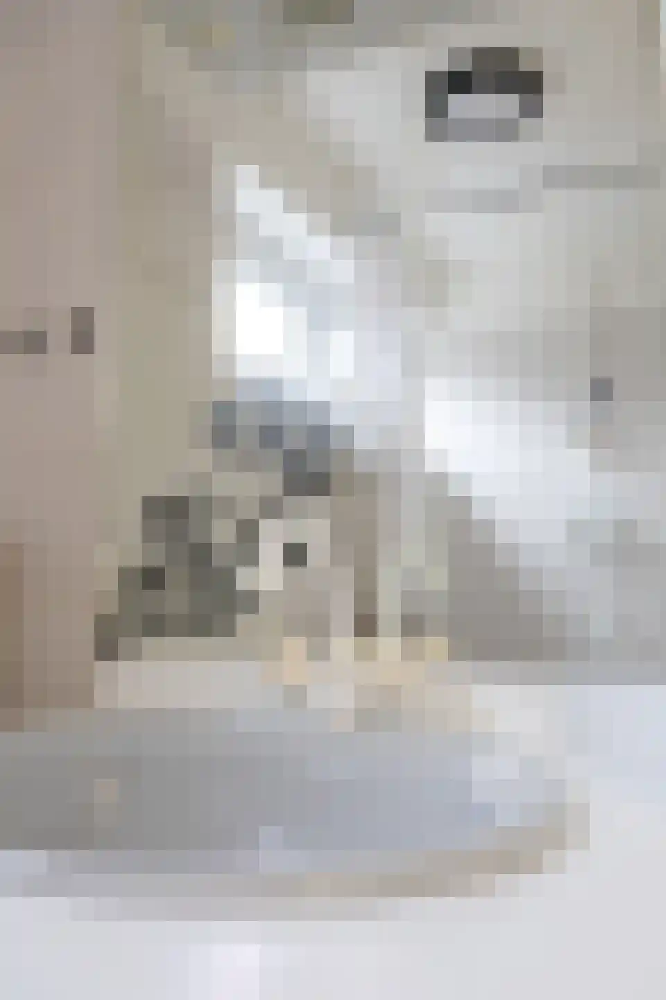Limburgerstraat 35 Cadier en Keer thumbnail 31