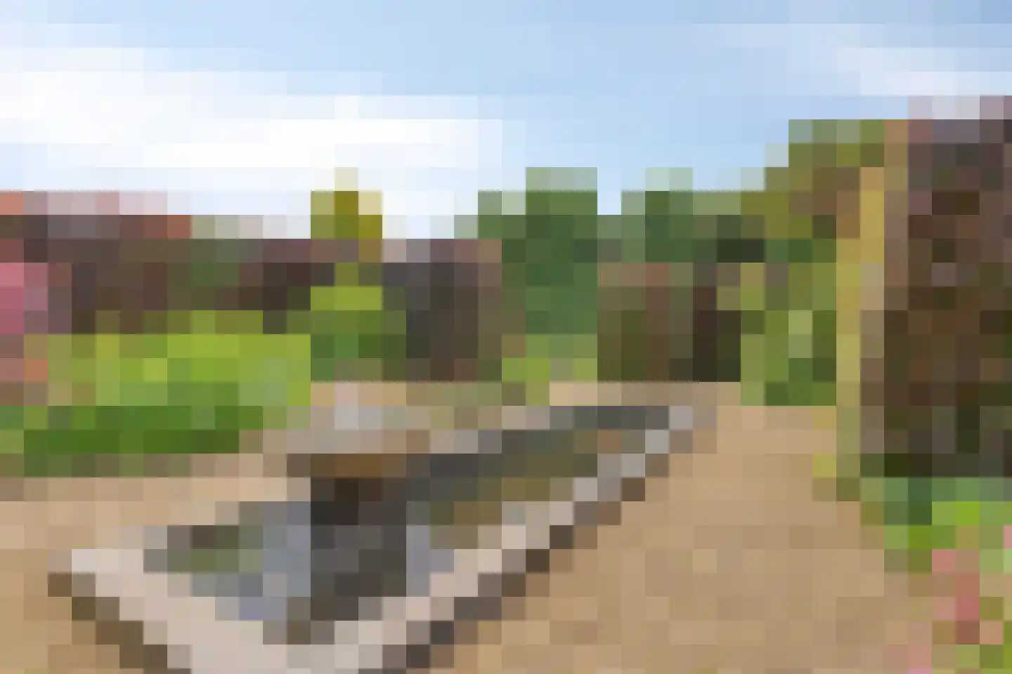 Limburgerstraat 48 Cadier en Keer thumbnail 28