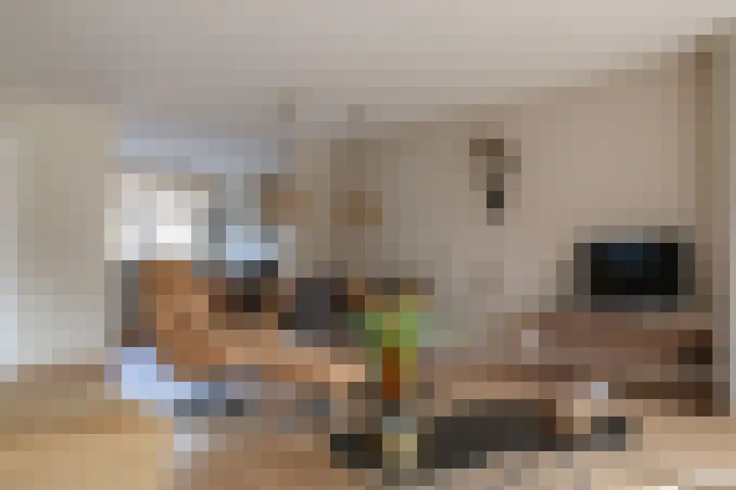Limburgerstraat 62 Cadier en Keer thumbnail 12