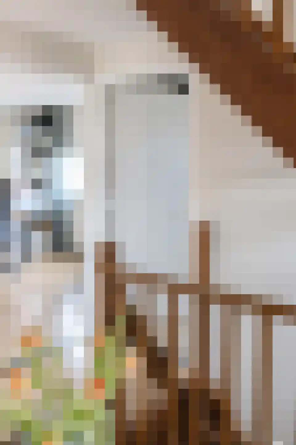 Limburgerstraat 62 Cadier en Keer thumbnail 29