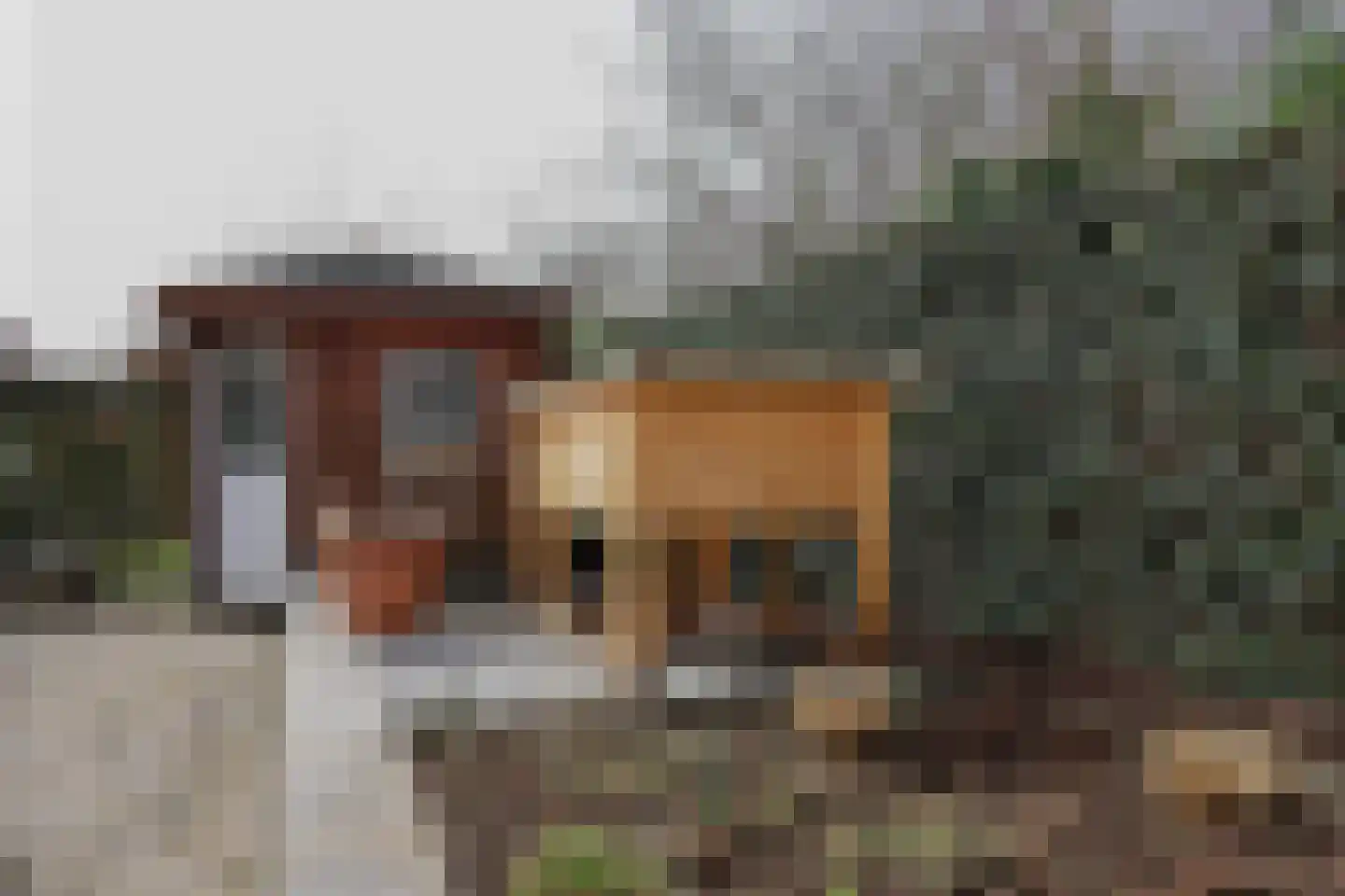 Limburgerstraat 62 Cadier en Keer thumbnail 52